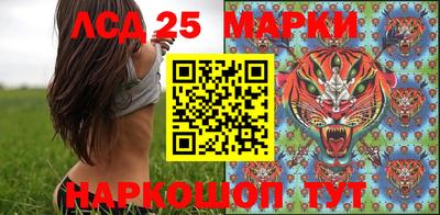 спайс Аргун