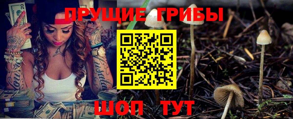 как найти   Вход с VPN  Галлюциногенные грибы прущие грибы  Большой Камень  Галлюциногенные грибы Cubensis 